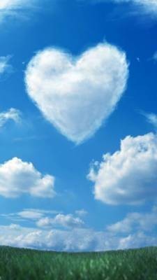 らん