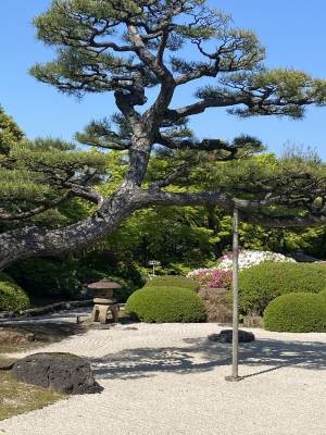 ともみ