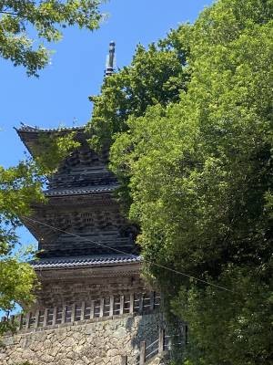 ともみ