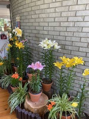 ともみ